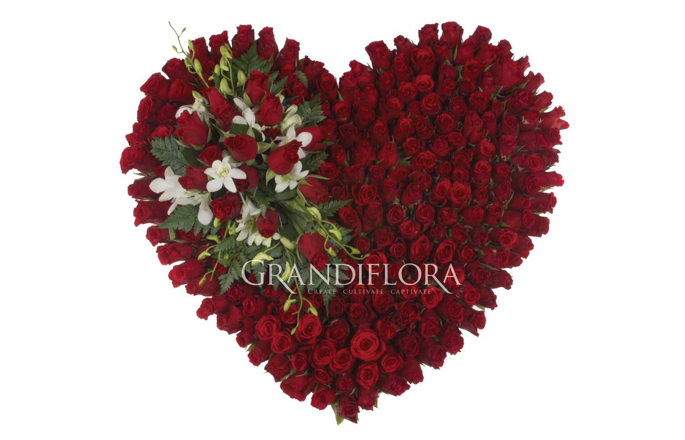 Arranging A Funeral RoseHeart