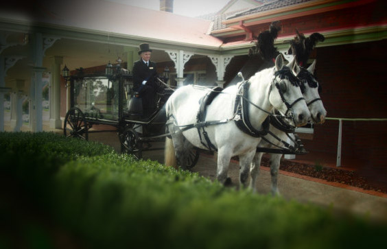 Arranging A Funeral hearse05